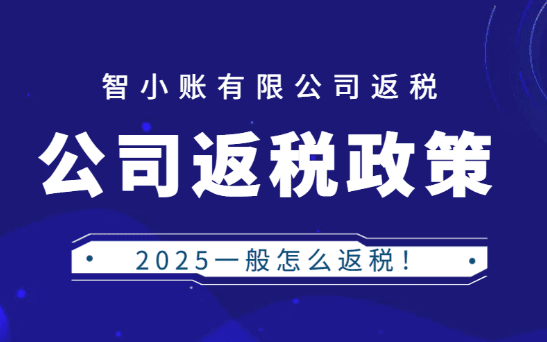 2025公司返稅政策一般怎么返？