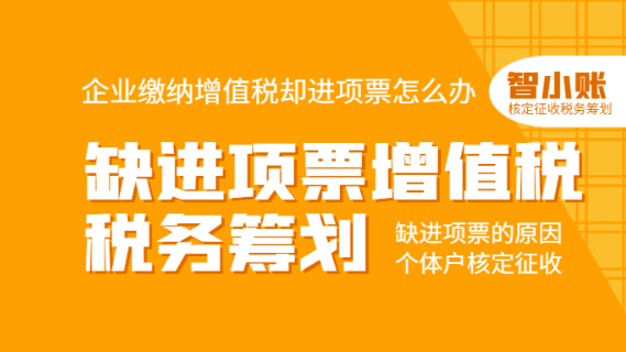 成都核定征收園區政策解析與稅務籌劃實戰指南