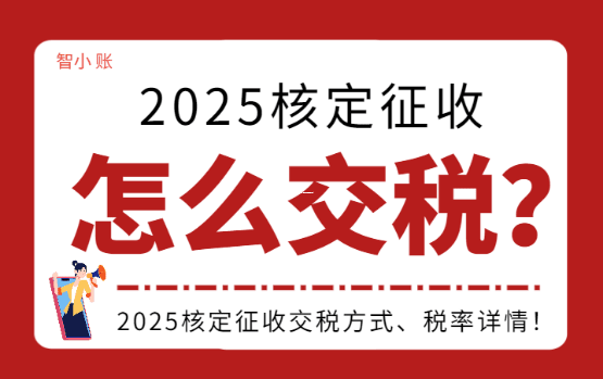 有限公司返稅政策暫停了嗎？真相揭秘與深度解讀！