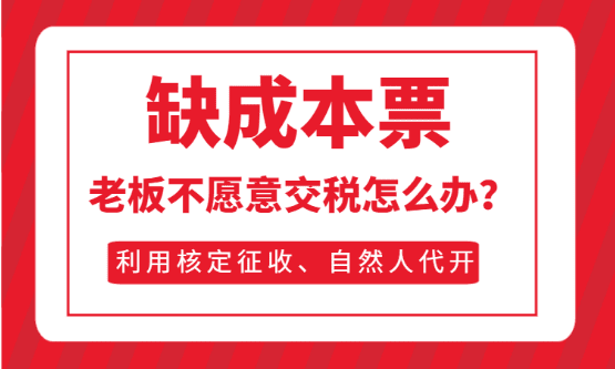 有限公司返稅申請全流程解析與材料清單