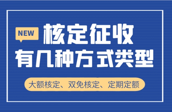 2025年個(gè)體工商戶核定征收標(biāo)準(zhǔn)深度解讀與政策前瞻