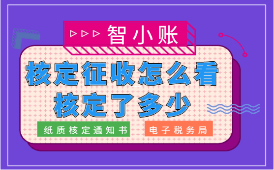 海南個(gè)體戶核定征收政策解讀與實(shí)操指南